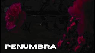 Cover art for Penumbra by olibolib